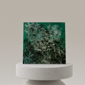 Tôle Acier Emaillé - Murmure des mousses